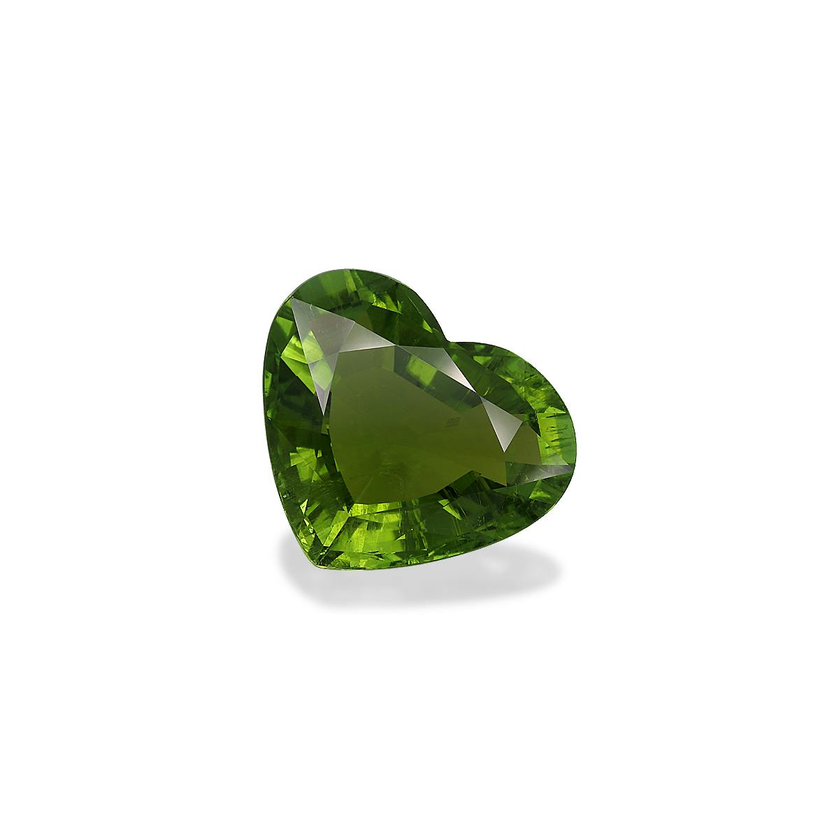 Paraiba Tourmaline 33.03 ct